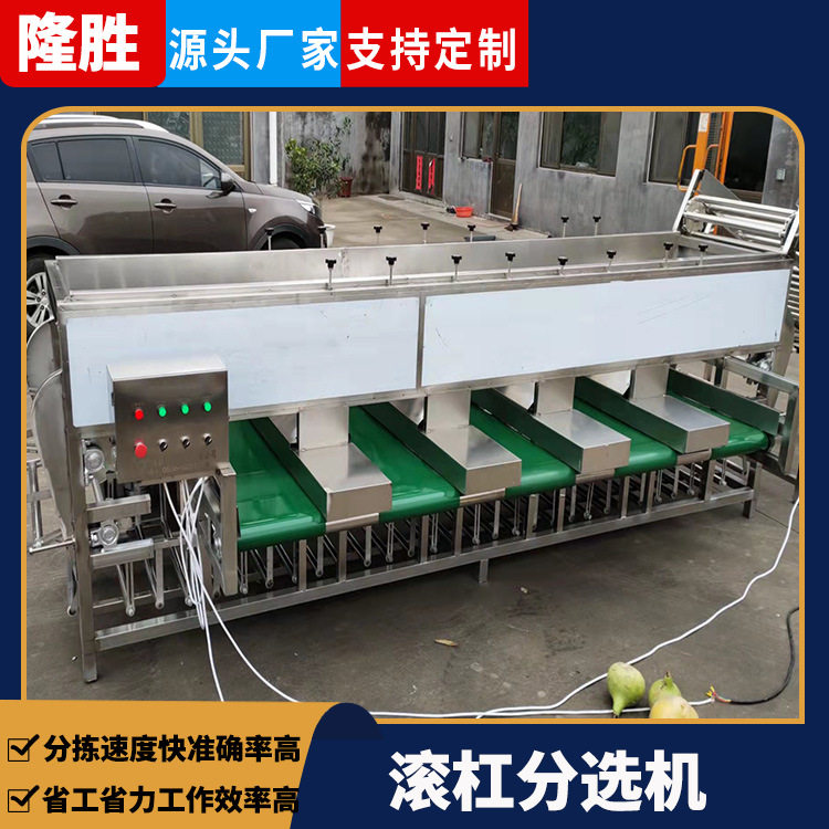 隆胜不锈钢大蒜滚杠分选机土豆洋葱大小分选设备全自动选果机器
