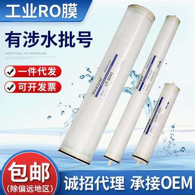 工业用RO膜水处理反渗透膜 LP/BW/FR8040/华派RO膜水处理设备