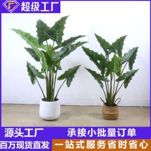 绿植萨利安海芋盆栽假树室内客厅仿真植物造景观装饰摆件真