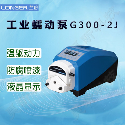 兰格(LongerPump)工业蠕动泵G300-2J适配泵头YZ1515X-A/C D全球购