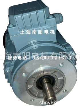 上海南阳电机有限公司JW6325250WB14微型三相异步感应电动