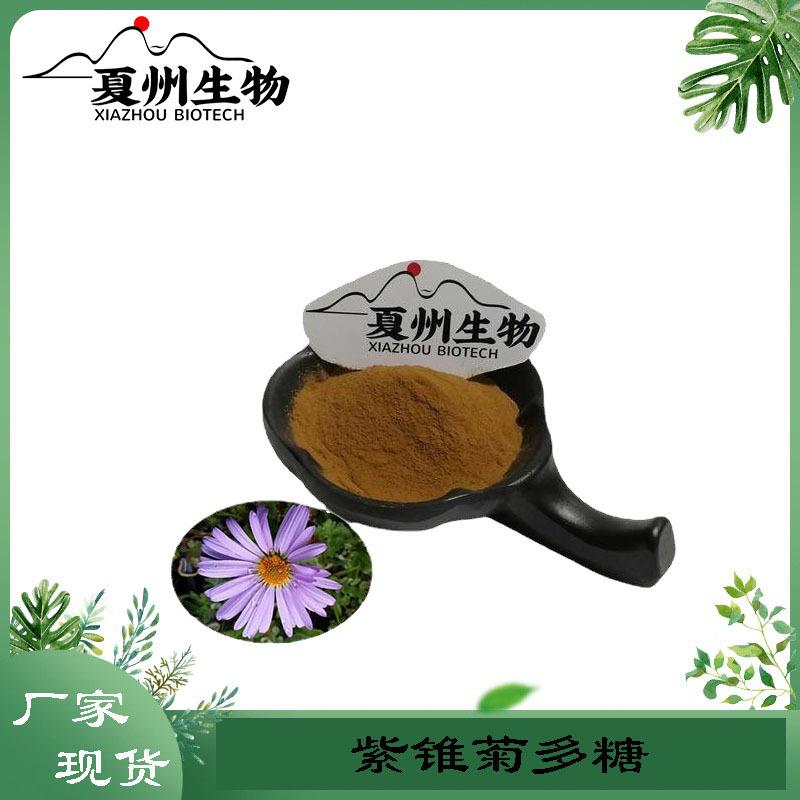 紫锥菊多糖80%紫锥菊提取物另菊苣酸5%多酚4%规格夏州kg装