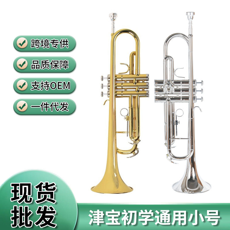 跨境小号降B调学生初学者通用成人演奏小号西洋铜管乐器可做款式
