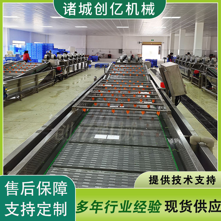新款鱿鱼浸泡清洗机 水产品链板式清洗设备 高压喷淋清洗风干机
