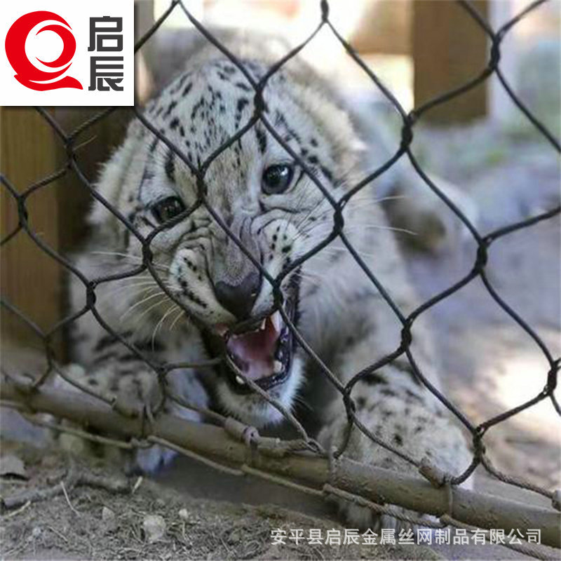 动物园用柔性不锈钢钢丝绳网 笼舍防护网 钢丝绳网厂家