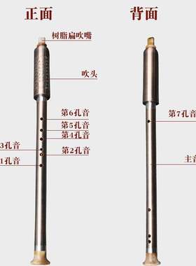 竖吹镀铜树脂巴乌儿童小学生成人初学者入门级F调G调吹奏乐器