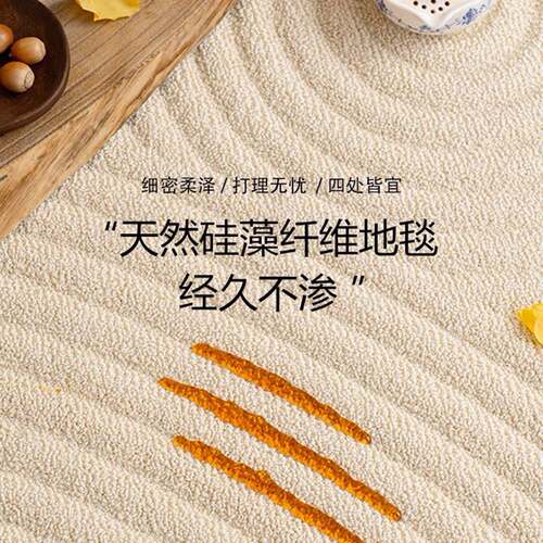 防水硅藻丝地毯客厅秋冬耐脏意式网红轻奢高级卧室素色地毯奶油风