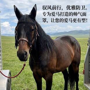 透气网状马蝇面罩保护面罩带耳鼻流苏超级舒适柔软夏季骑术用品