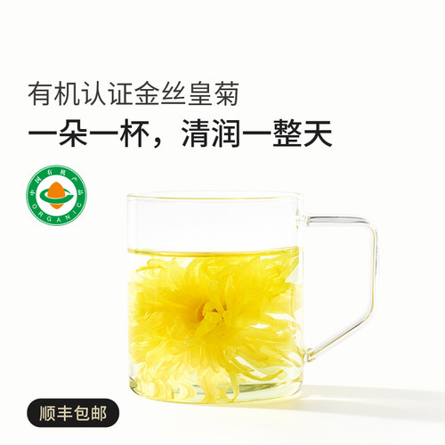 植物学家的女儿有机金丝皇菊