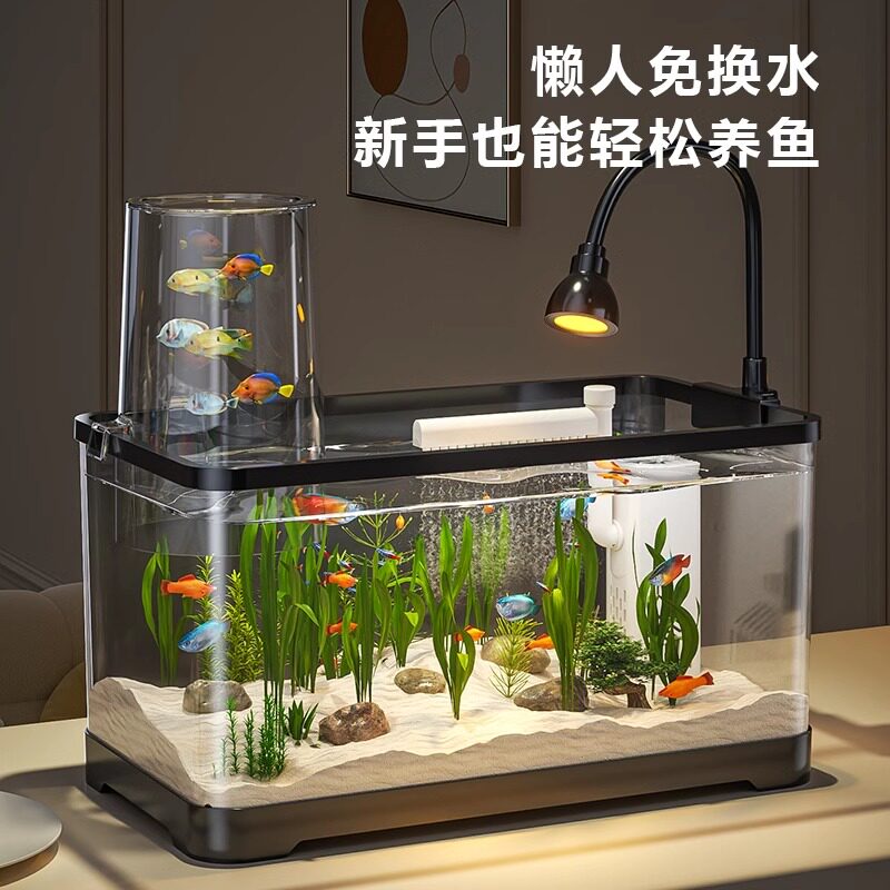 鱼缸免换水生态金鱼缸2025新款过滤制氧一体机小型客厅桌面小鱼缸