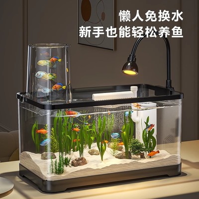 鱼缸免换水生态金鱼缸2025新款