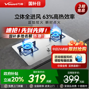 液化气天然气炉灶具B6 政府补贴 万和煤气灶燃气灶双灶家用台式