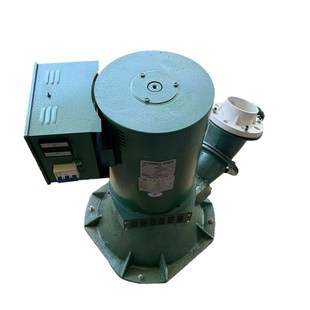 三相10kw220v240v60HZ斜击式 全铜水力发电10000w水轮发电定货定货