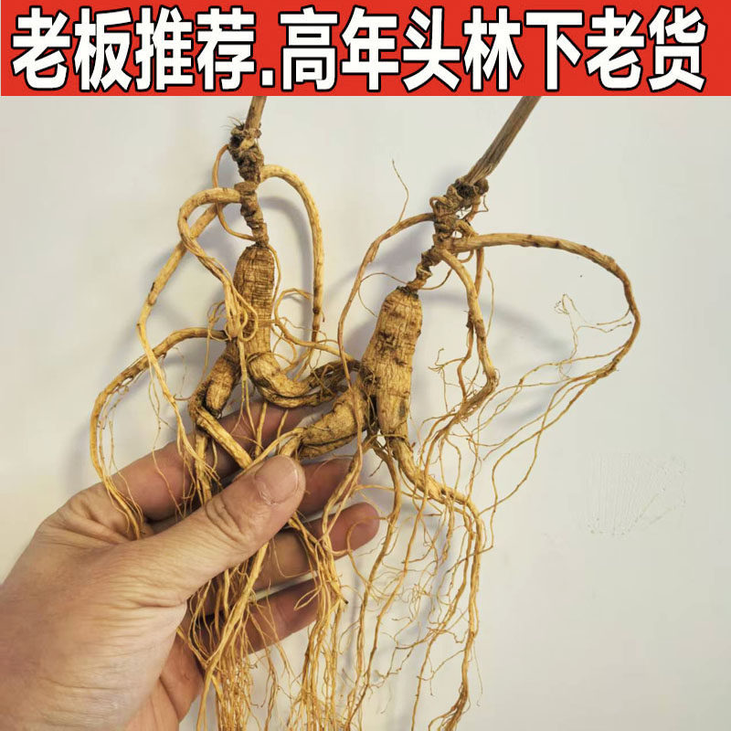正宗高龄东北人参长白山人参林下参正品残参野山参药材泡酒专用