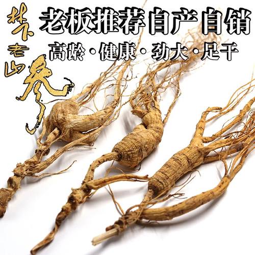 人参林下参野山参残参移山参