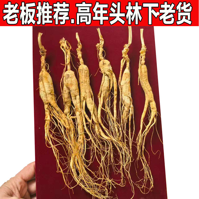 东北特产人参长白山林下参野山参正品残参干货药材泡酒专用