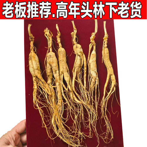 人参林下参野山参残参