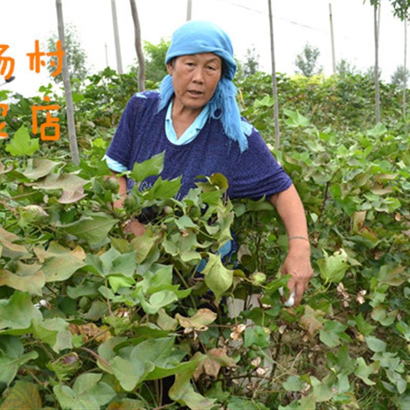 山东手工棉被新棉细长绒棉花垫被芯棉絮棉胎褥子空调被Y子春秋冬