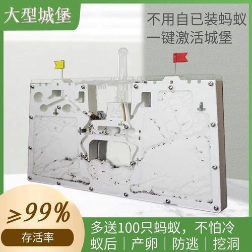 甄选蚂蚁城堡箱窝蚁巢教具屋生态科学试验沙土王国蚂蚁工坊蚁后双