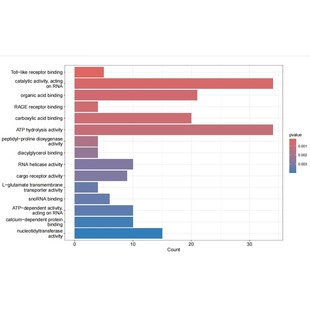 扩增子16s ITS宏基因组测序数据分析微生物多样性测序基因组 18S