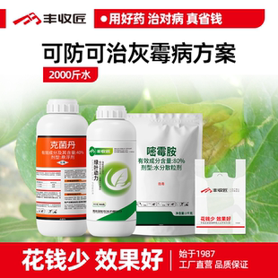 灰霉病农药组合杀菌套餐治疗预防靓果克菌丹嘧霉胺氨基酸水溶肥
