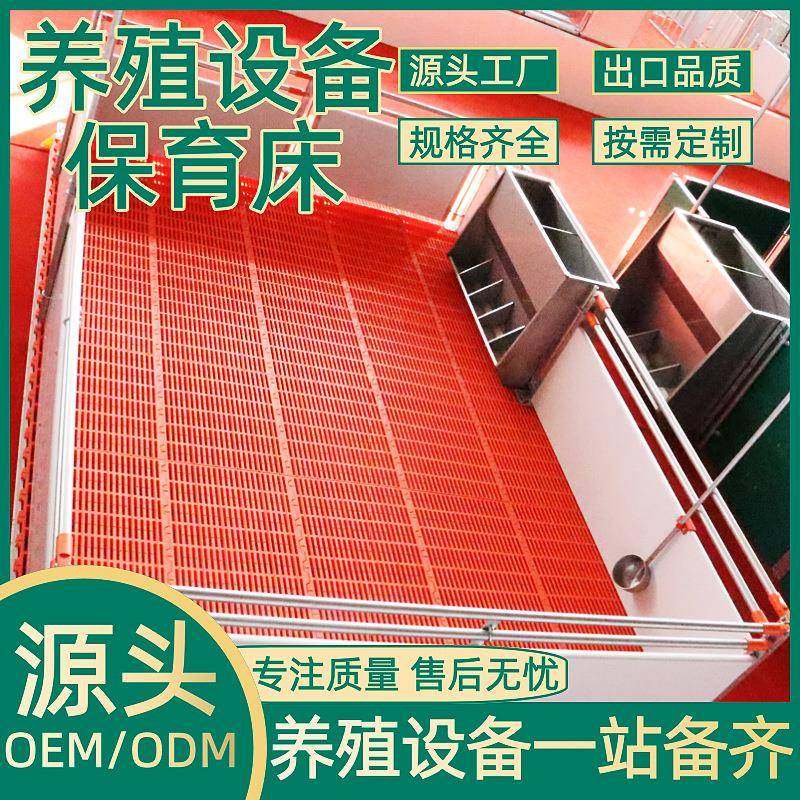 正红畜牧养殖设备pvc板仔欧式保育床养殖场小保育产床,畜牧/养殖物资,特种养殖设备,淘宝优惠券,粉丝福利购,淘宝优惠卷