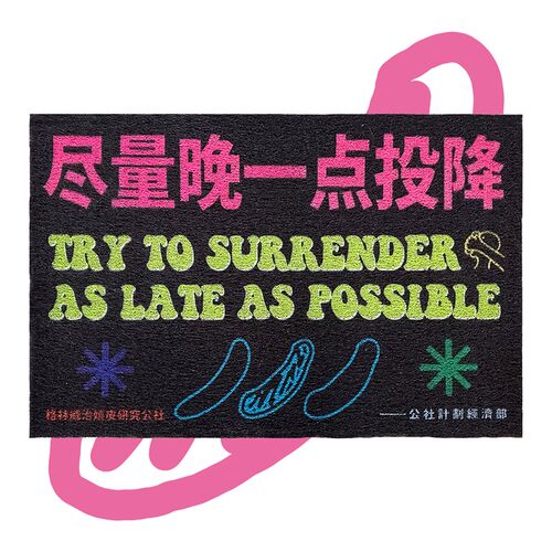 尽量晚一点投降 丝圈地垫地毯入户进门 公社计划经济部