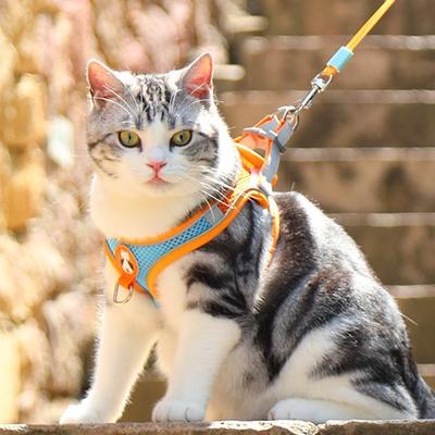 猫咪牵引绳防挣脱专用猫绳小型犬胸背带绳子溜猫绳宠物牵狗绳遛狗