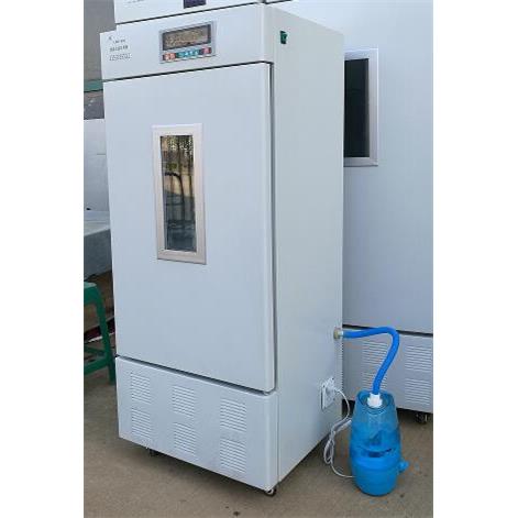 现货LHP-250L恒温恒湿培养箱植物生长生化微生物智能数显培养箱