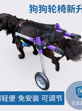 狗轮椅后肢e后腿残疾二轮助力拉车宠物轮椅猫咪轮椅轻款新品宠物