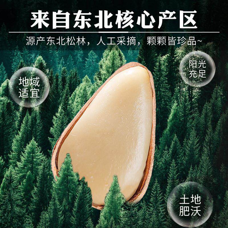 新品东北松子王2026新货特