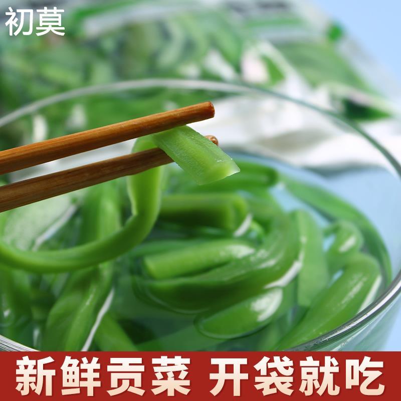 现成鲜香脆贡菜无叶新鲜火锅专用苔干响菜土特产蔬菜非干货贡菜