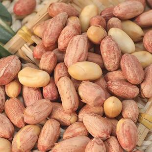 极速2024年新五香花生米官方旗舰店正宗山东蒜香熟下酒菜零食散装