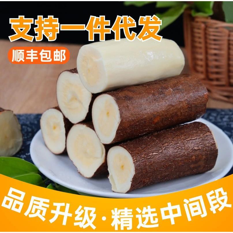 黄心木薯新鲜黄肉蛋黄广西特产农家种植现挖现发粉糯香甜顺丰包邮