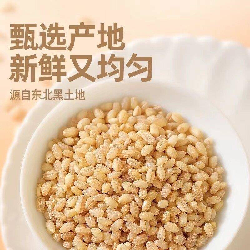 农家新麦仁米去皮新小麦小麦仁煮粥小麦粒农家脱皮麦仁米杂粮脱壳
