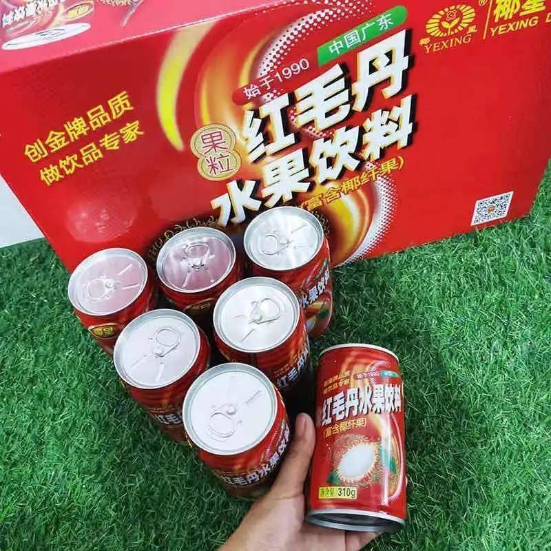 红毛丹饮料310gx24罐整箱果味饮品含椰果果肉果粒多果汁饮料