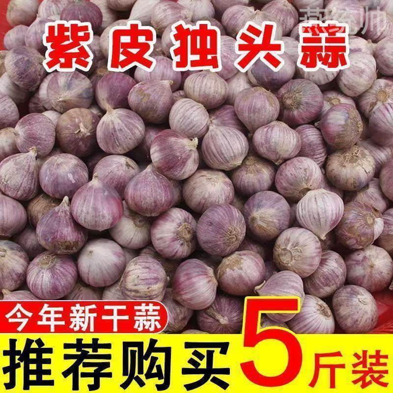 云南独头蒜大果独蒜头干蒜