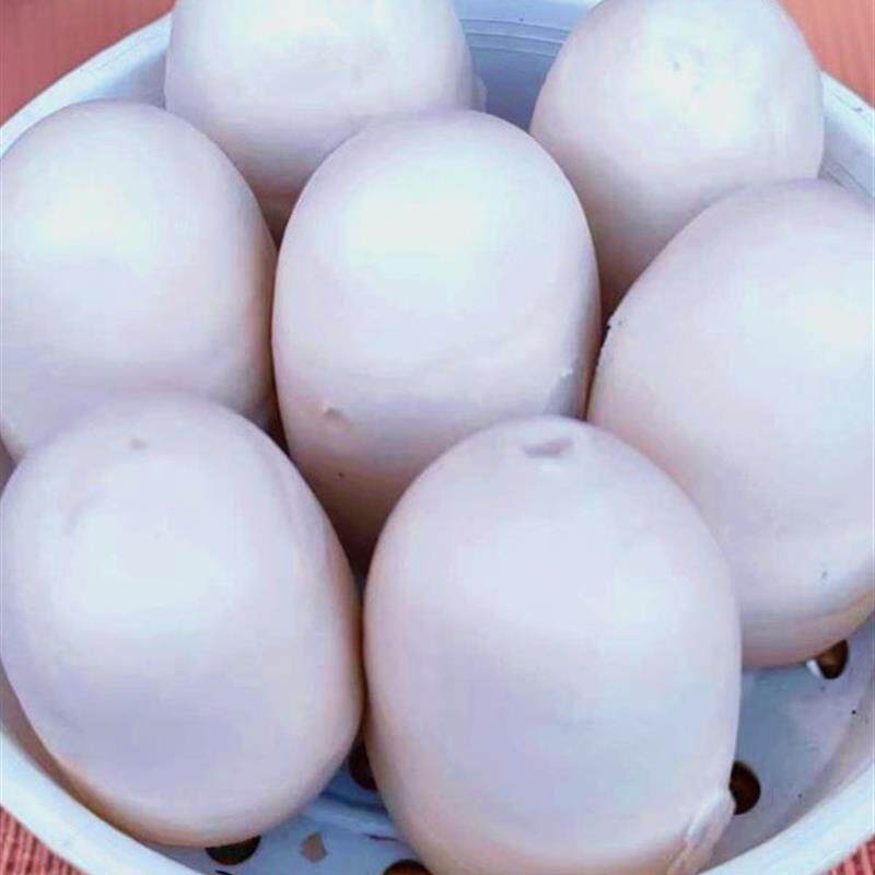 新品山东无棣特产手工老面