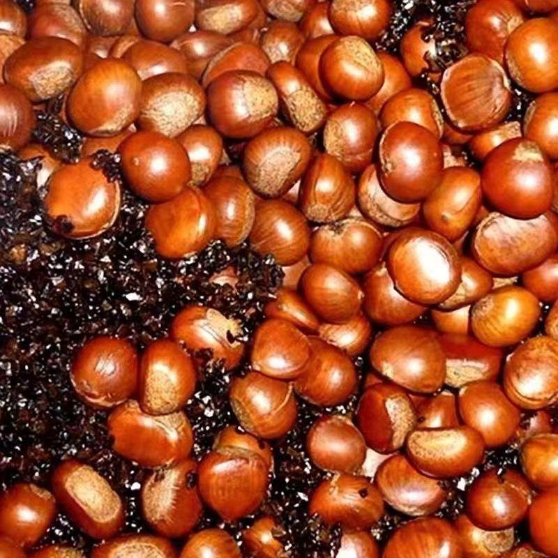 极速新鲜开口即食熟栗板栗