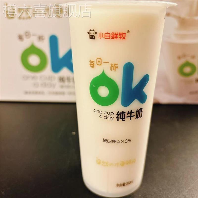 小白鲜牧儿童孕妇成人早餐ok奶网红奶纯牛奶生牛乳200ml*10杯包邮