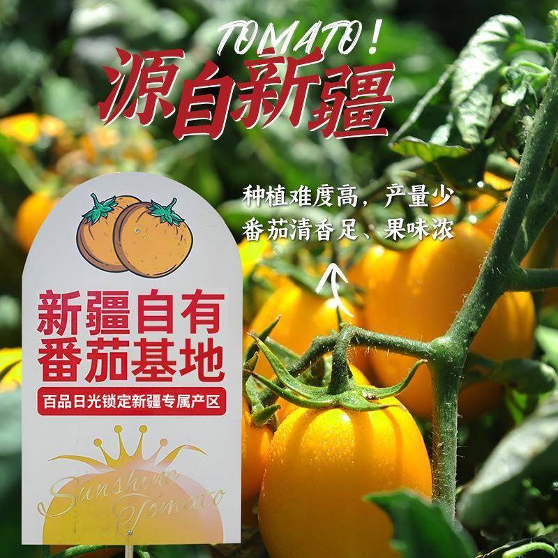 百品日光金番茄火锅底料商用酸汤锅底黄番茄麻辣烫米线汤底酱料包