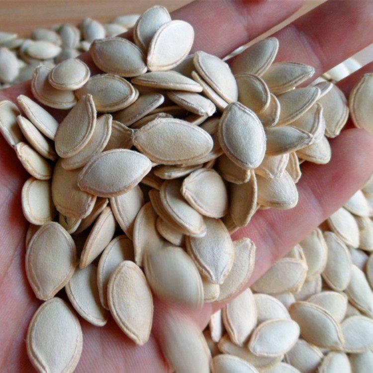 内蒙古生南瓜子 大片1000g 大颗粒 散装原味熟南瓜籽新货 盐焗味