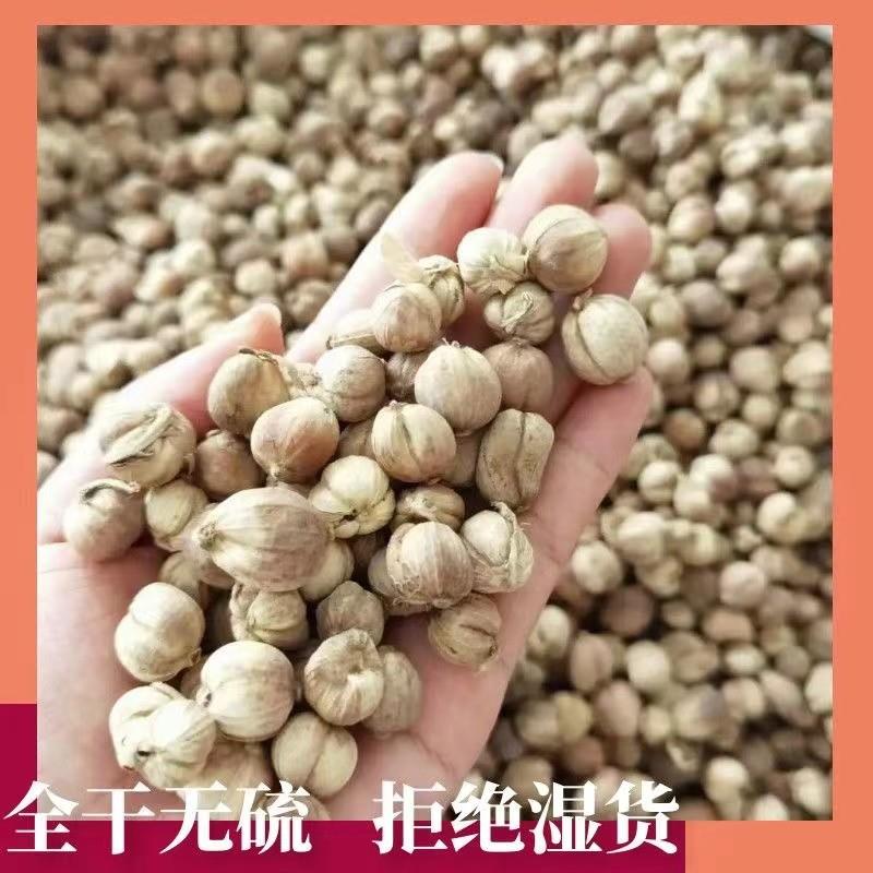 精选纯真手选白豆蔻白豆扣寇包邮无硫白寇仁白叩香料白扣粉