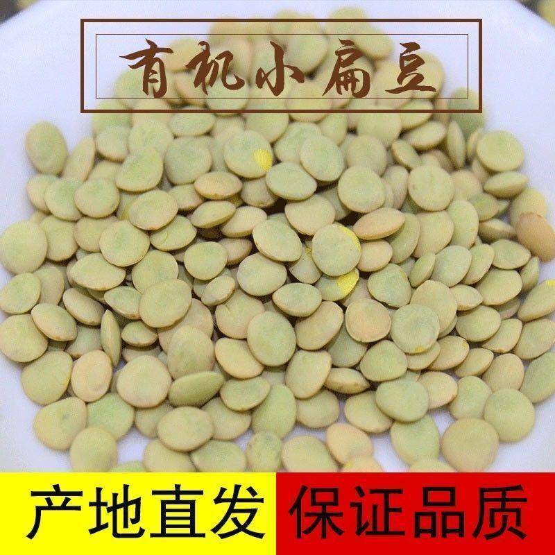 【新货】有机小扁豆五谷杂粮豆南扁豆新鲜杂粮可发豆芽非基因改造