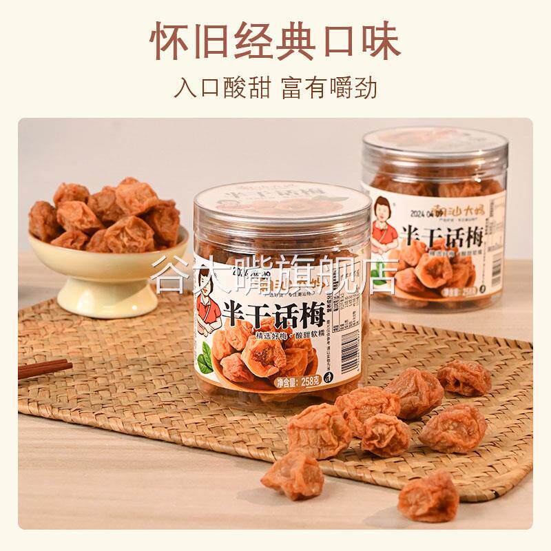 潮汕大妈半干话梅九制话梅大梅子酸咸甜泡水休闲网红孕妇零食梅子