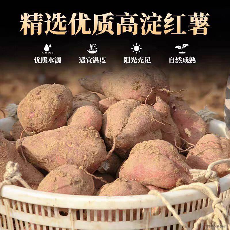 山东红薯粉条特产纯手工山芋地瓜红苕番薯火锅粉丝细粉酸辣粉5斤