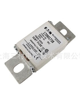 全新原装快速熔断器保险丝170M1753 170M1754 170M1755 170M1756