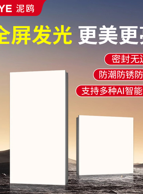 无边框集成吊顶灯led厨房面板灯3A0x30x60天花铝扣板卫生间平板灯