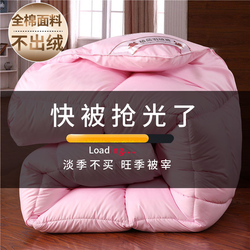 冬季加厚c羽绒被95白鹅绒春秋被加厚保暖冬被羽绒被芯单人被双人