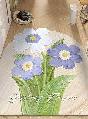 高级感入户门地垫门口耐脏脚垫门垫进门玄关地毯PVWC可擦免洗裁剪